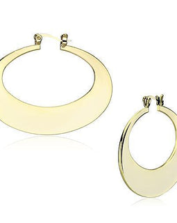 LO2737 Gold Iron Earrings